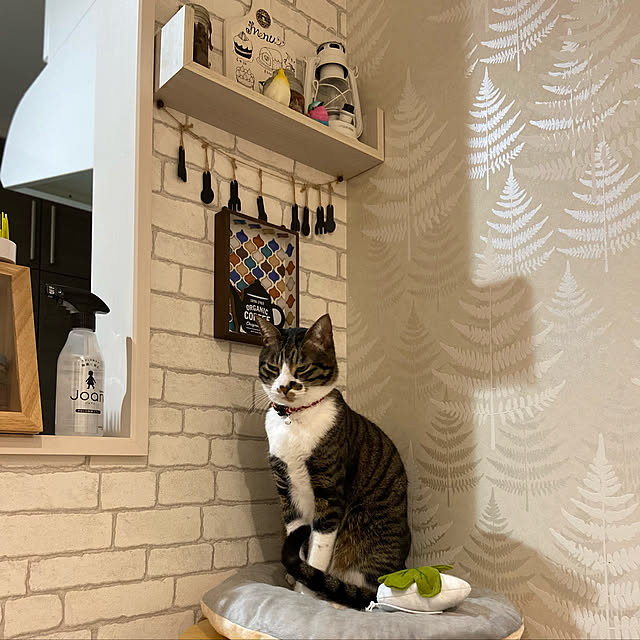 ippu0303Karinさんの実例写真