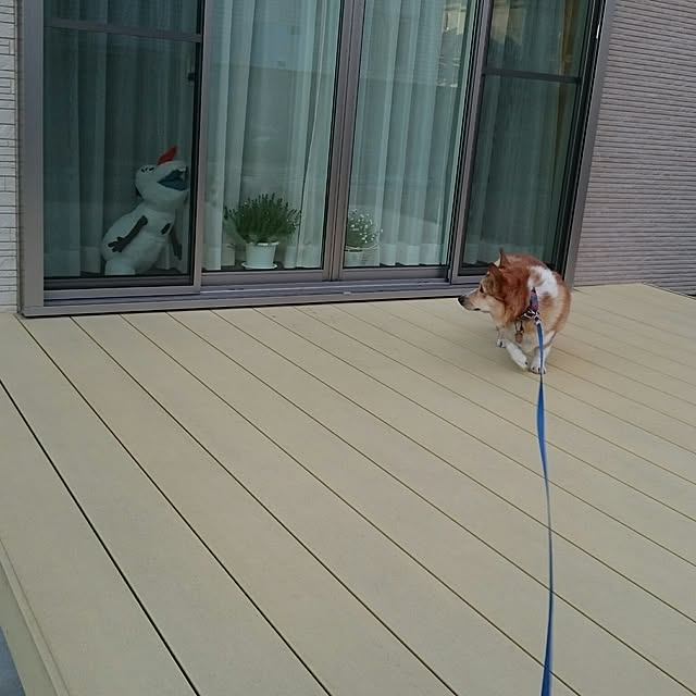yaikoさんの実例写真