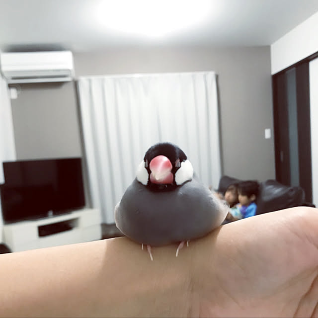 kkksssさんの実例写真