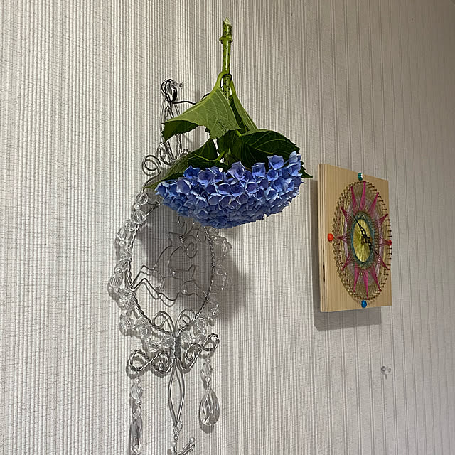 Kyokoさんの実例写真
