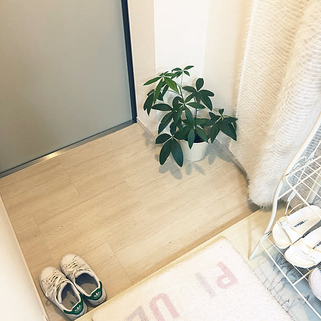 syopitaaanさんの実例写真