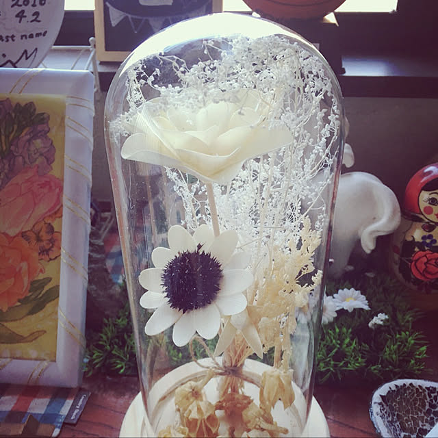 blunderparuさんの実例写真
