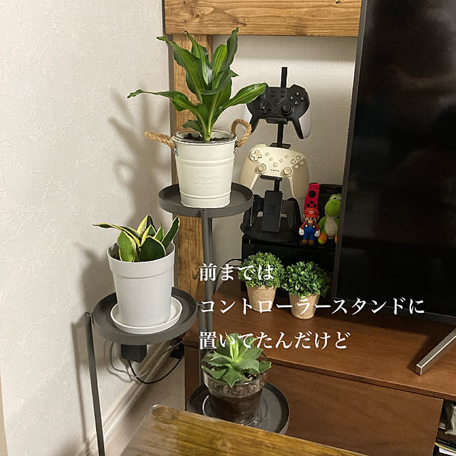 anko.hibuさんの部屋