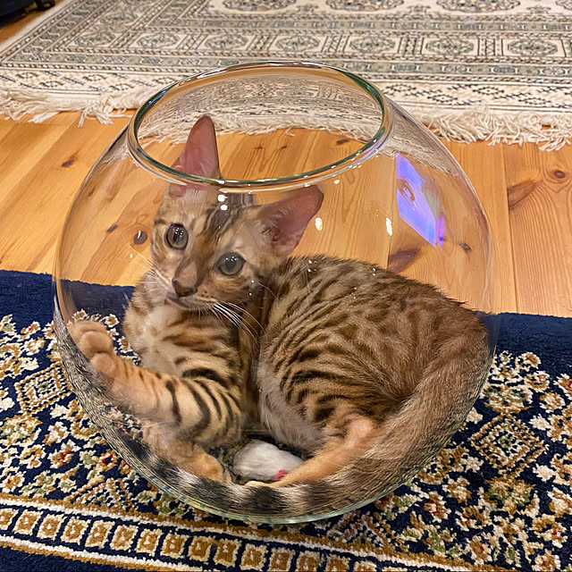 jamさんの実例写真