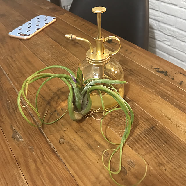shouさんの実例写真