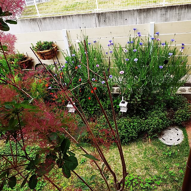jaaichannさんの部屋