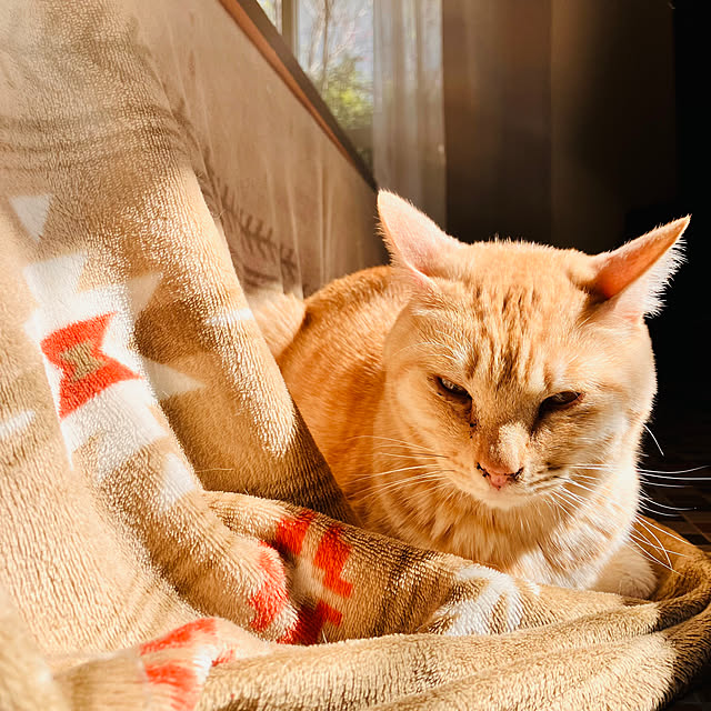 tomorinさんの部屋