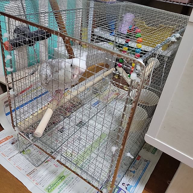 ANTENNAさんの実例写真
