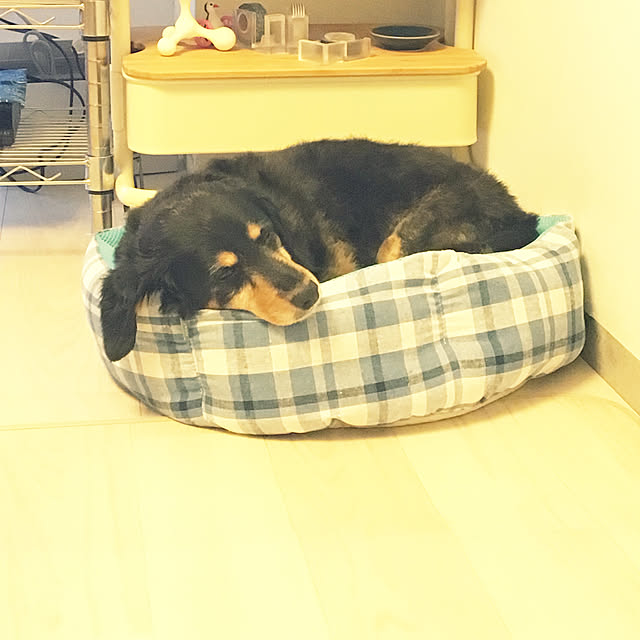 ohanaさんの実例写真