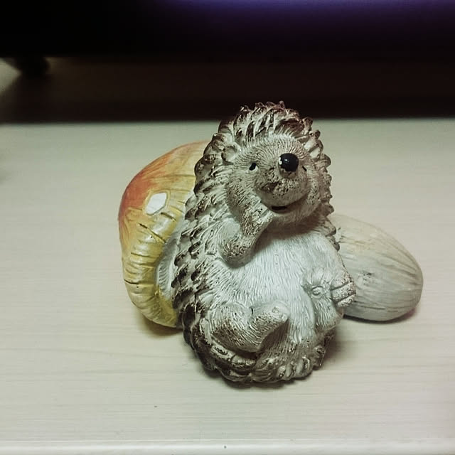 littlebluebirdさんの部屋