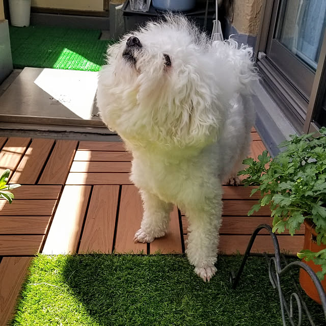 takoさんの実例写真