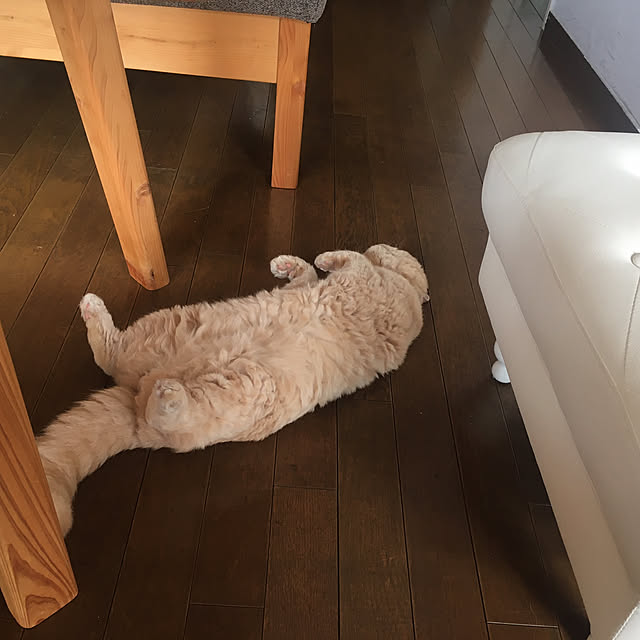 naokoさんの部屋