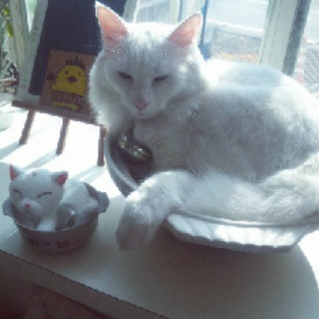 J.BOYさんの実例写真