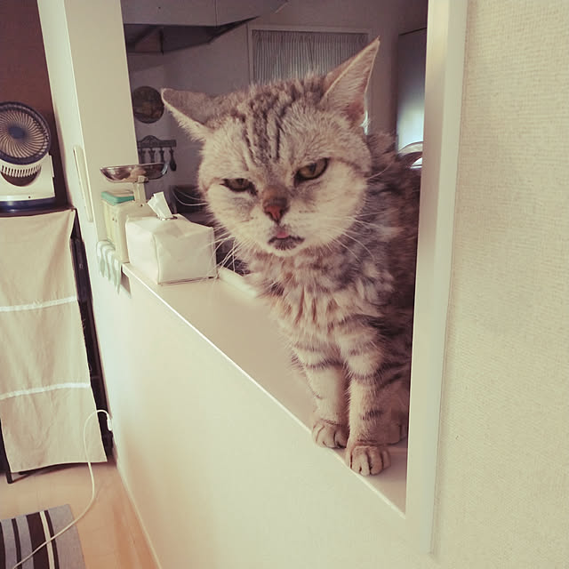 suisaiさんの実例写真