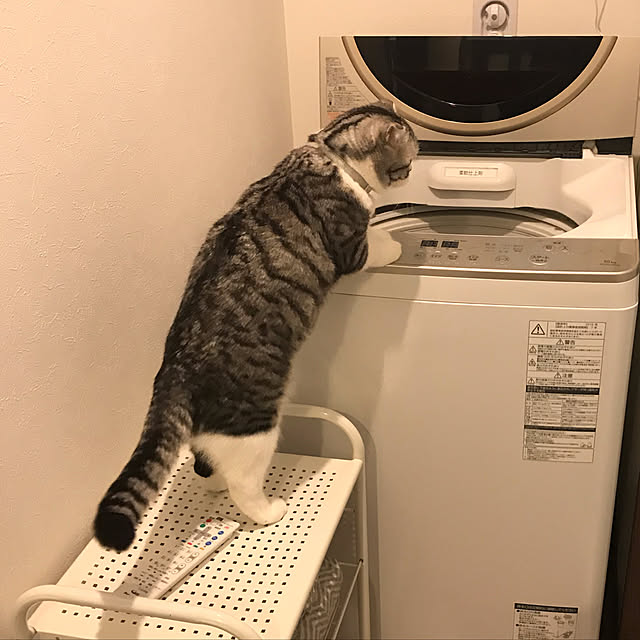 Dahliaさんの実例写真