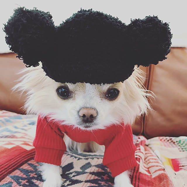 ponyoさんの実例写真