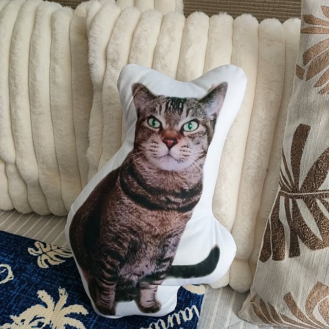 cocomintさんの実例写真