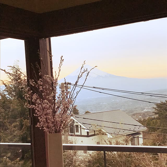 soraさんの実例写真