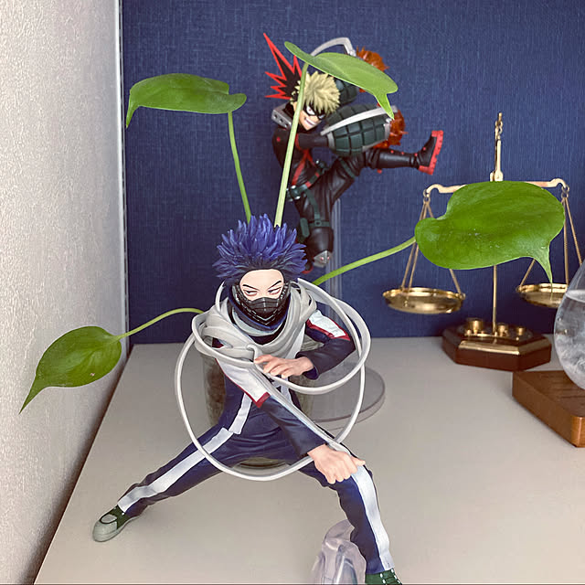 puyapuyaさんの実例写真