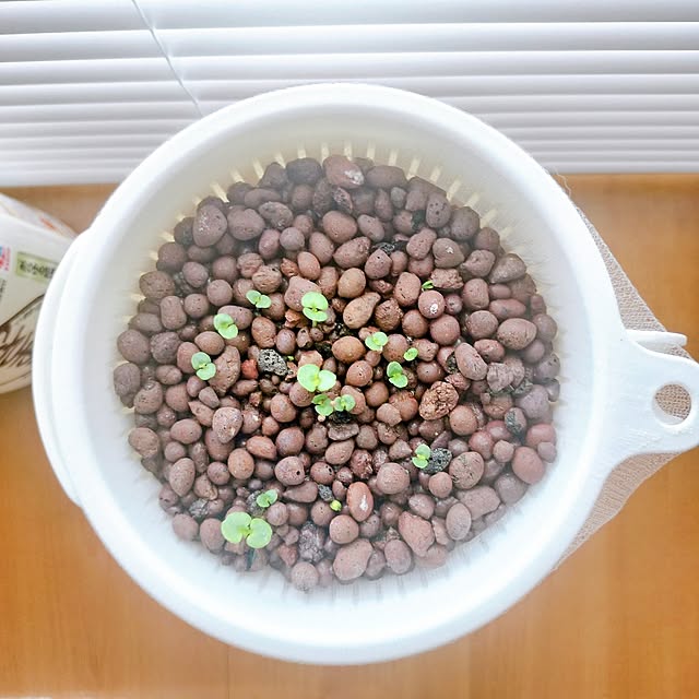 38さんの部屋