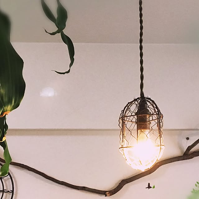 Baum-ringさんの実例写真