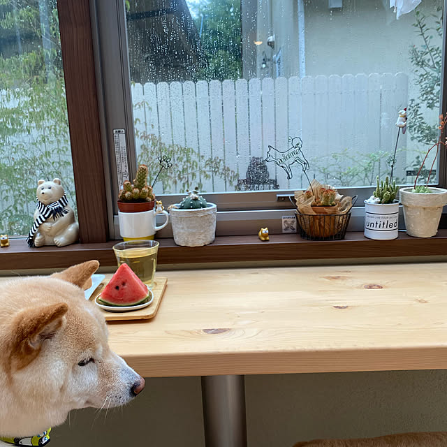 skyさんの実例写真