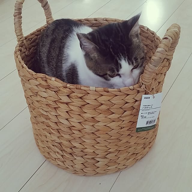 runayucoさんの実例写真