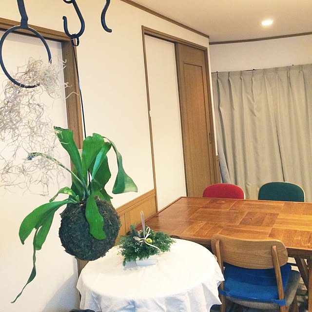 cohさんの実例写真
