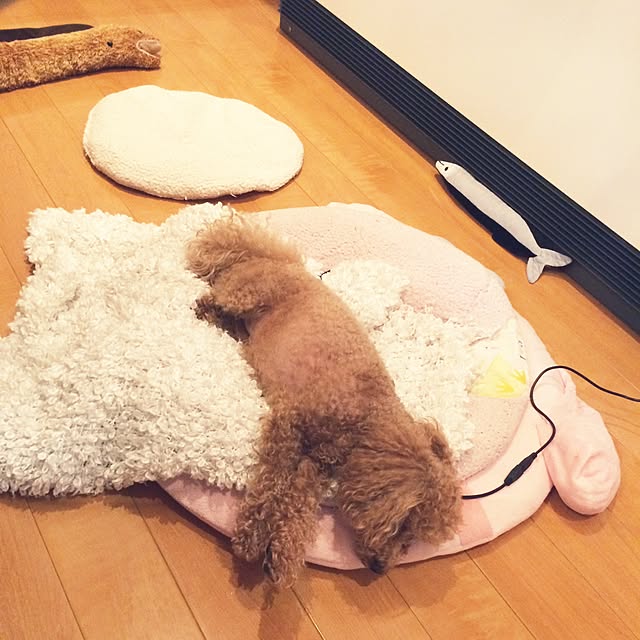 Momoさんの実例写真