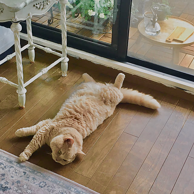 naokoさんの部屋