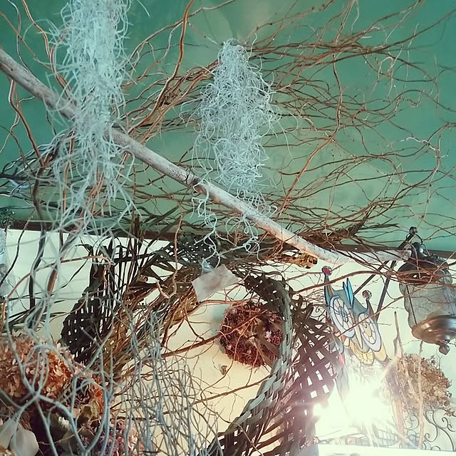 flower_kasenさんの実例写真