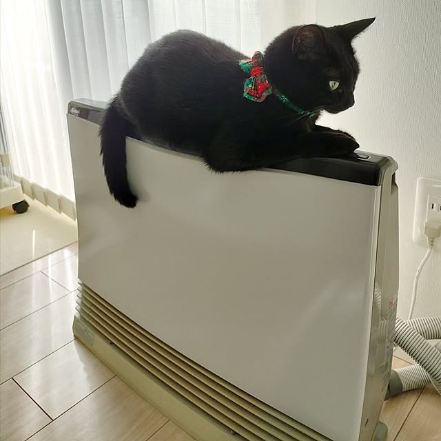 sakuraさんの実例写真