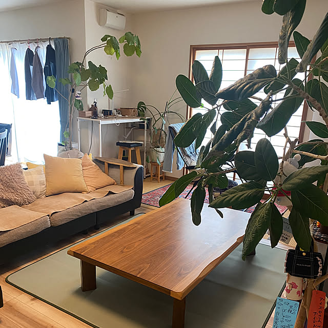 kotaroさんの実例写真