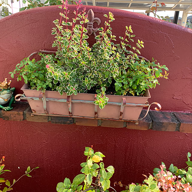 AYUKOさんの実例写真