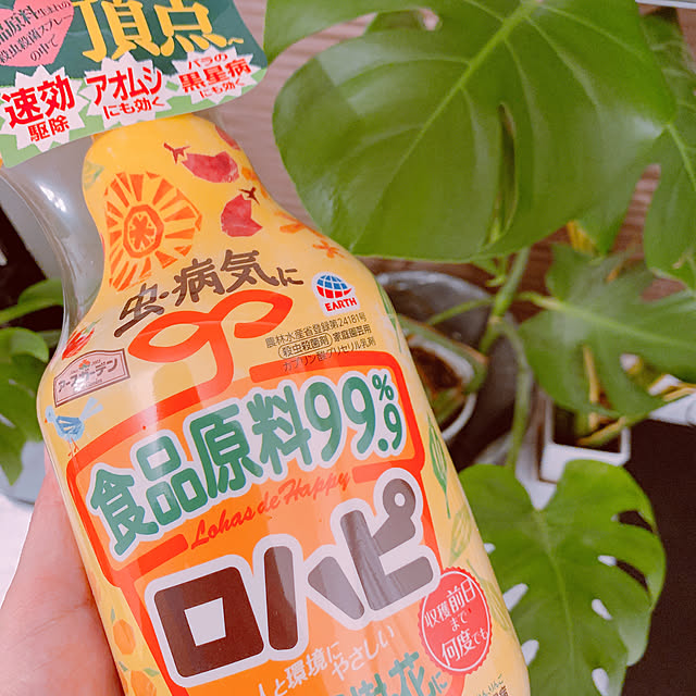 Wkk...sWnmnさんの実例写真