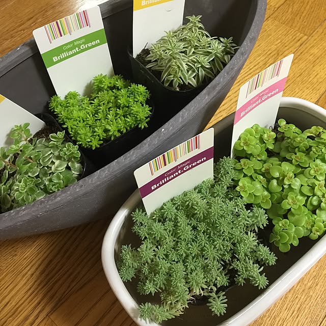 aym0418さんの実例写真