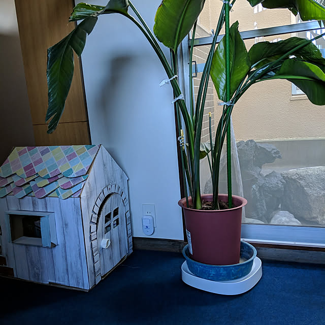 hassakuさんの実例写真