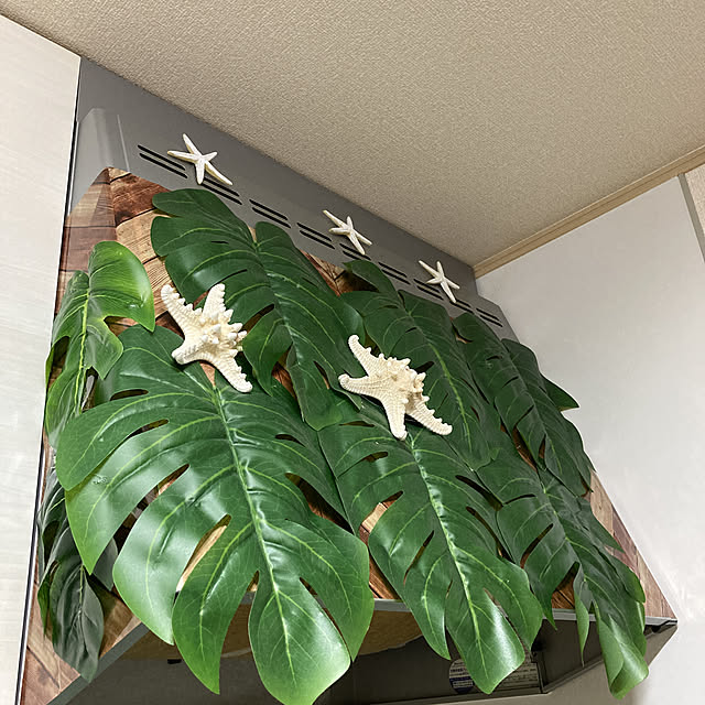 alohamamaさんの実例写真