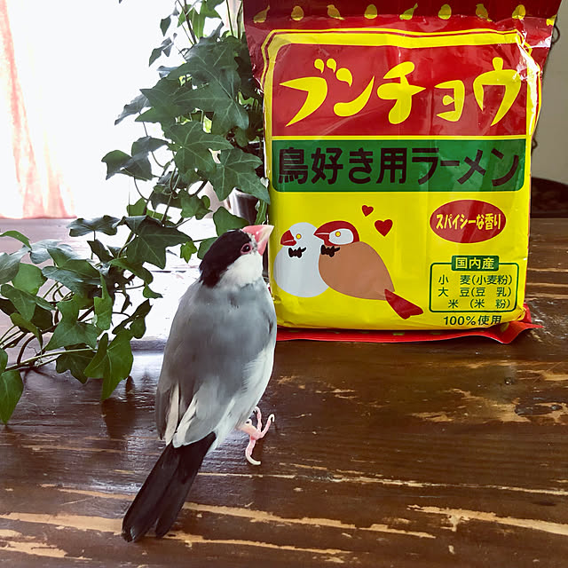soramameさんの実例写真