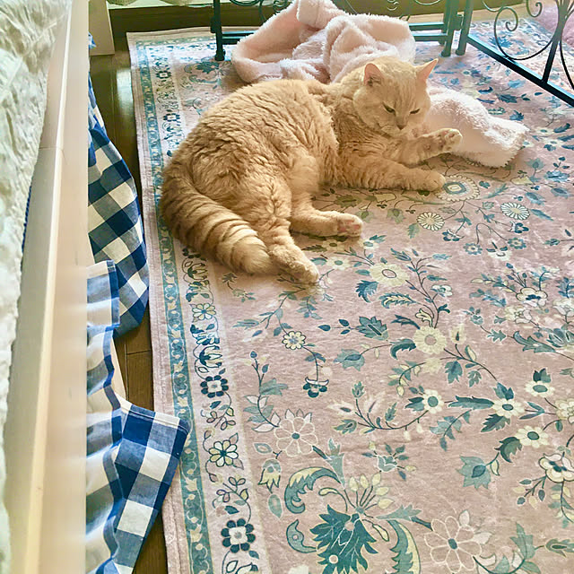 naokoさんの部屋