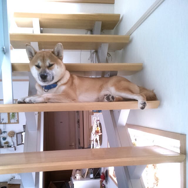 kotaさんの実例写真