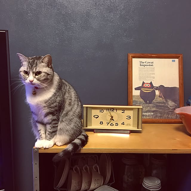 Shojiさんの実例写真