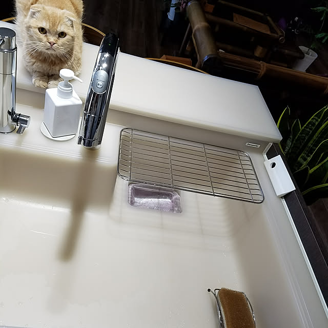 mamechiiさんの実例写真