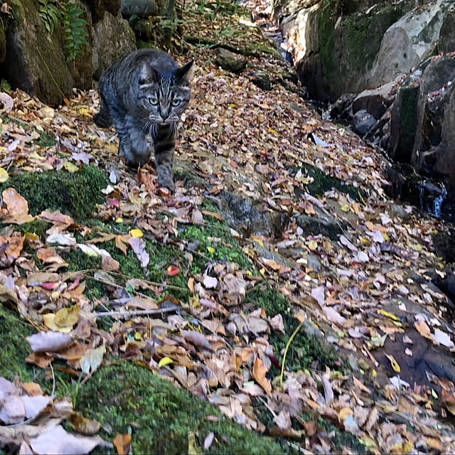 weさんの実例写真