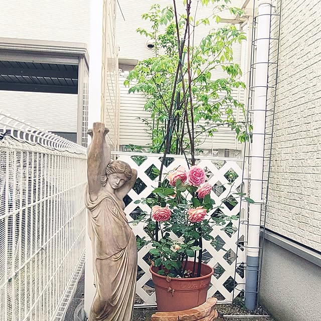Bienvenueさんの実例写真