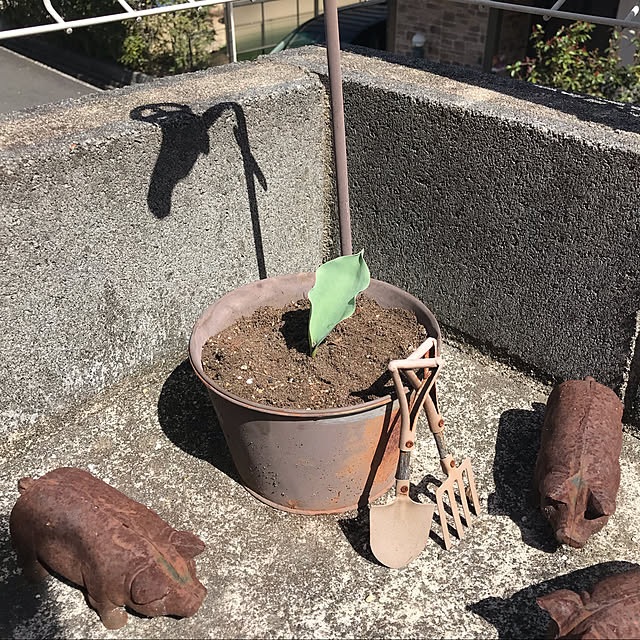 Karlyさんの実例写真