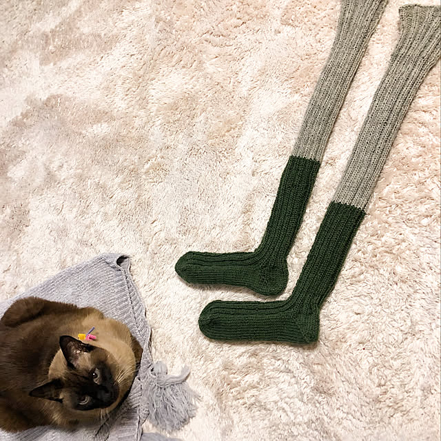 dodoさんの実例写真