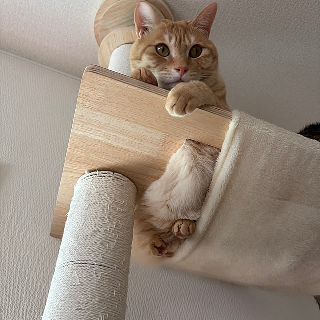 chiiさんの部屋