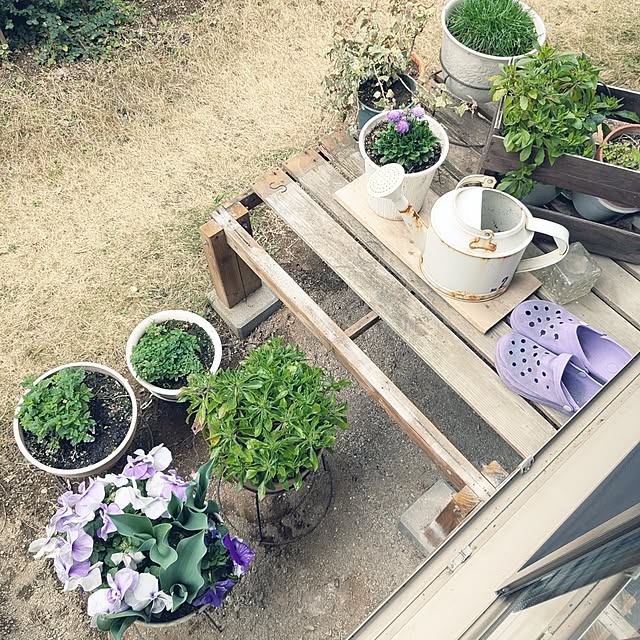 mofukoさんの部屋