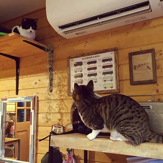 takammyさんの実例写真